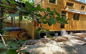 Mini maison tiny house et son bain nordique